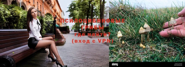 a pvp Надым