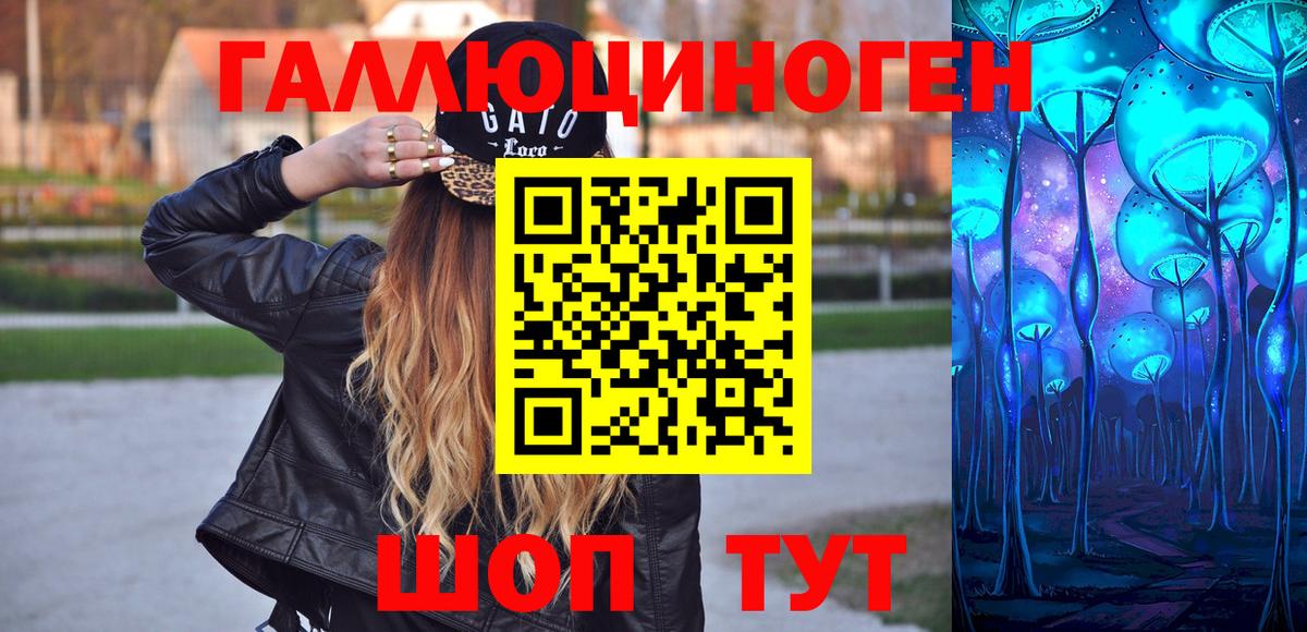 Псилоцибиновые грибы Cubensis Канск