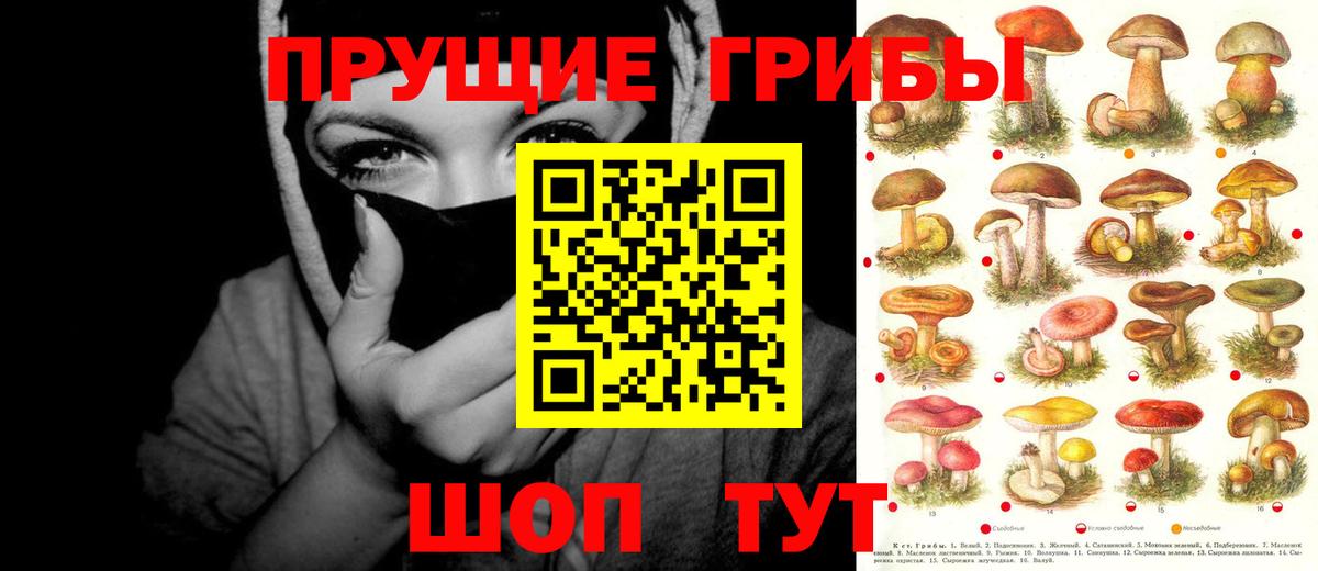 Псилоцибиновые грибы прущие грибы  Галлюциногенные грибы Psilocybine cubensis  Канск  Вход с VPN 