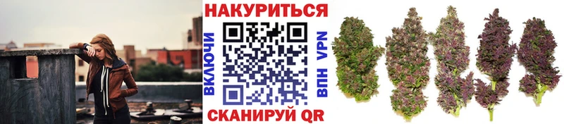 omg онион Канск Конопля конопля где купить наркотик